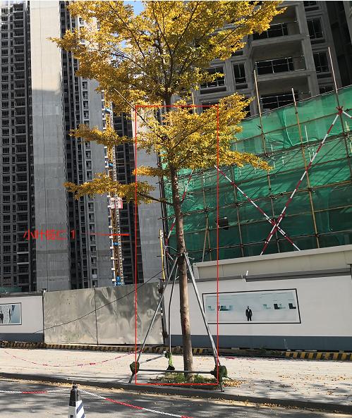 圖片2.jpg 圖片2.jpg